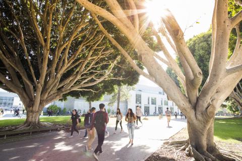 Students walking outside Physical Sciences North